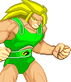 Lion-O Pallette #11 (Brazilian Colors)