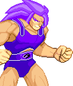 Lion-O Pallette #16 (Violet)