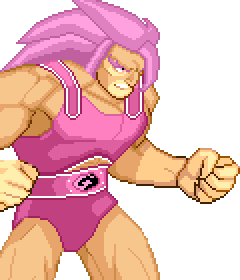 Lion-O Pallette #17 (Pink)