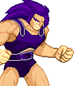 Lion-O Pallette #22 (Dark Violet)